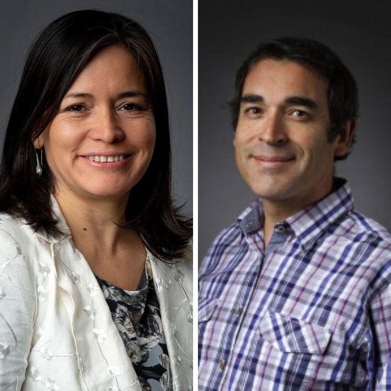 Luisa Pinto y Gabriel Vargas Fondecyt Regular 2020